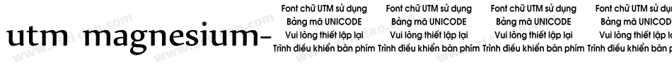utm magnesium字体转换
